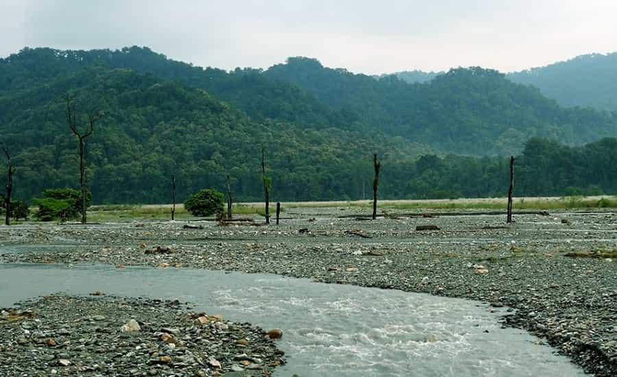 Mahananda Wildlife Sanctuary