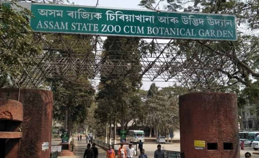 Assam State Zoo and Botanical Gardens