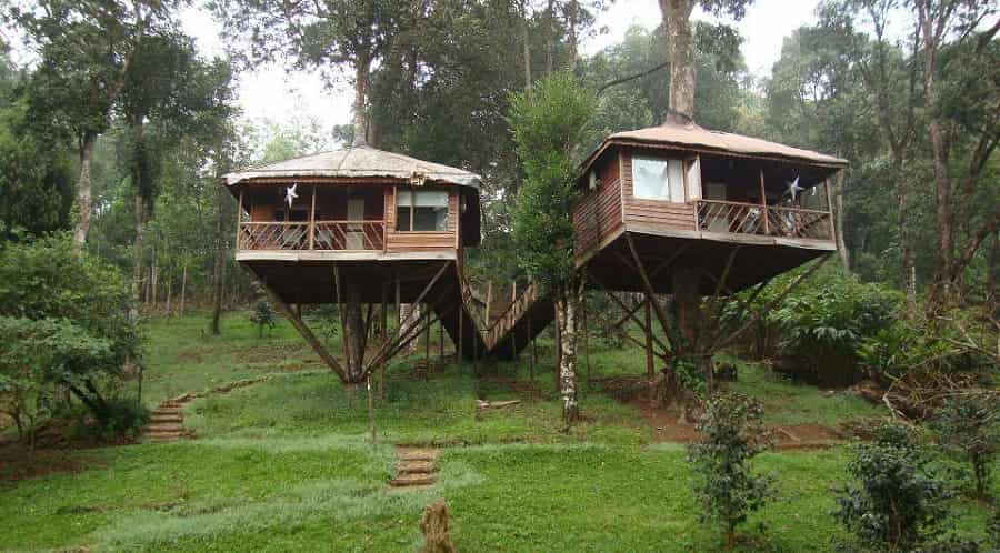 Nature Zone Resort, Munnar