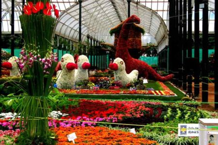 Lal Bagh Botanical Garden Bangalore