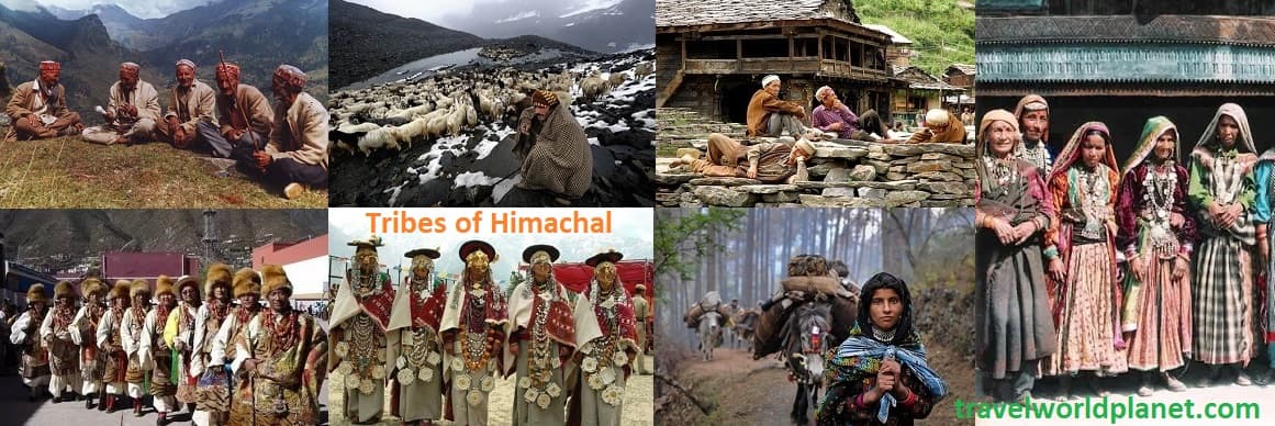Tribes of Himachal