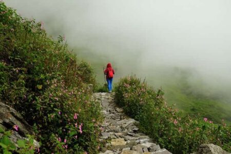 Solo rain trek