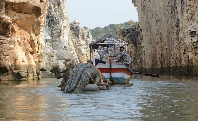 Bhedaghat Boating