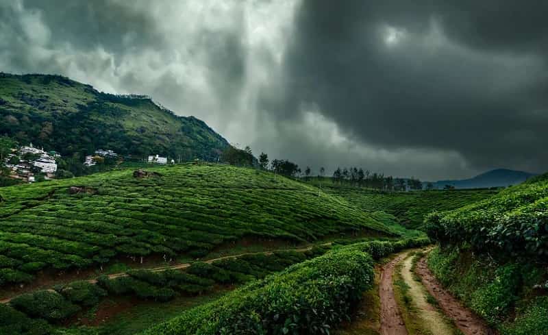 Munnar during Monsoon