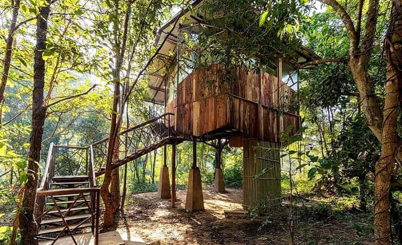 Wild Huts At Kanha National Park