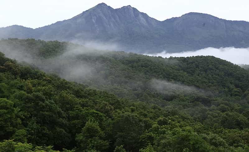 Silent Valley National Park