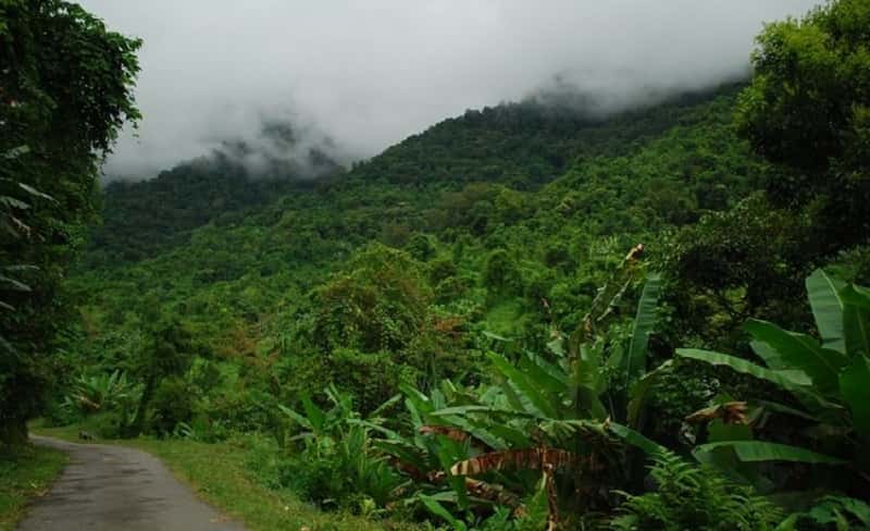 Sigem Reserve Daporijo Forest