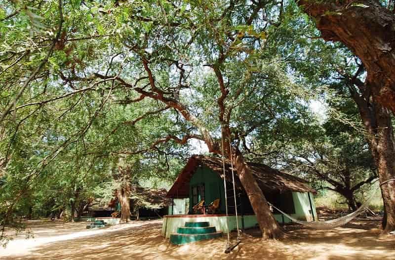 Camping in Bheemeshwari