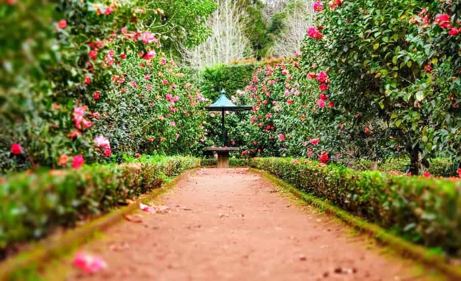 Empress Garden, Pune