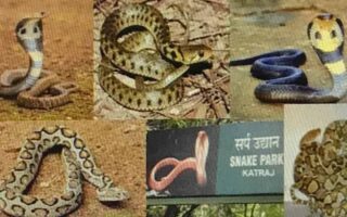 Katraj Snake Park, Pune