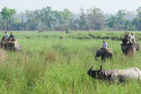 Dudhwa National Park