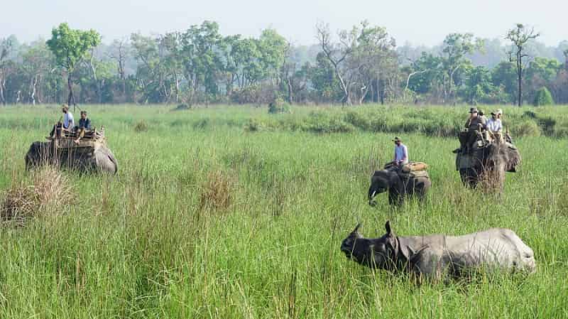 Dudhwa National Park