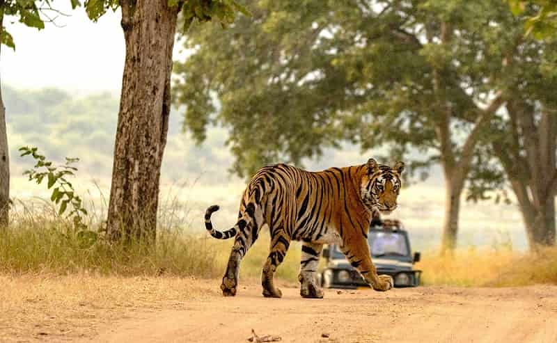 Ranipur Wildlife Sanctuary