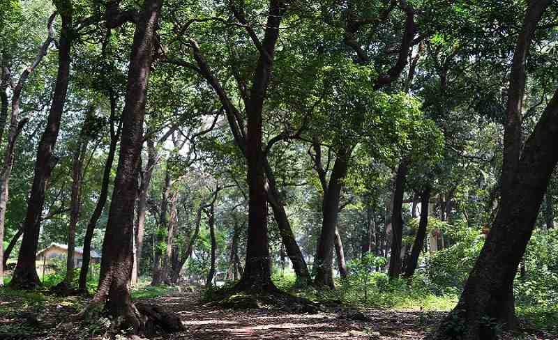 Ryewood Park, Lonavala