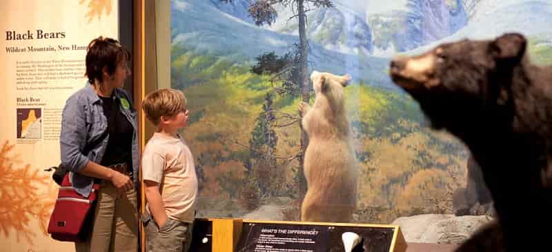 Live Animal Presentation at Museum of Science, Boston