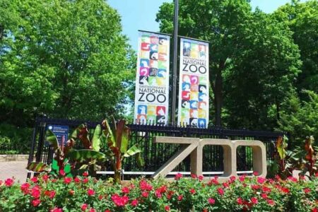 National Zoological Park, Washington D.C.