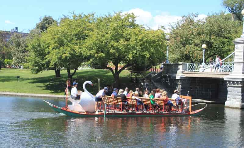 Swan Boats at Friends of the Public Garden