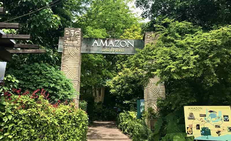 Zoo Miami Amazon & Beyond