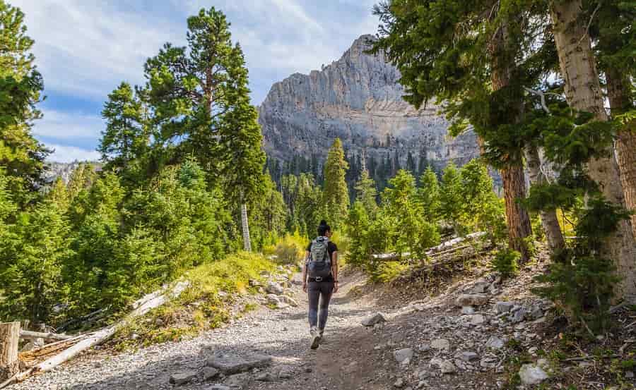 Hiking in Mount Charleston