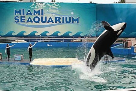 Miami Seaquarium