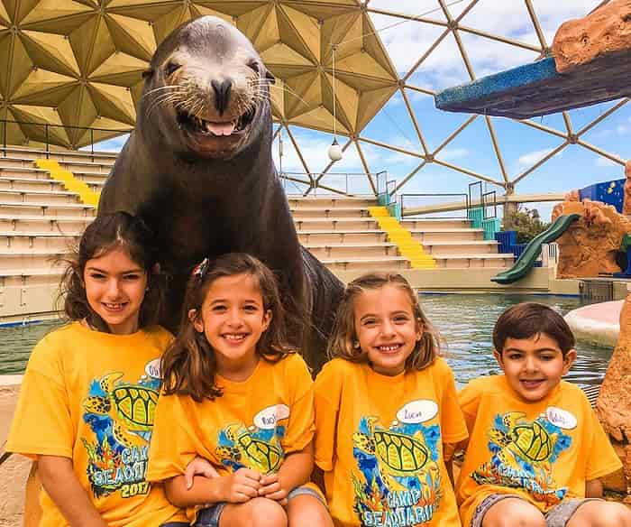 Seal & Sea lion Exhibit in Miami Seaquarium