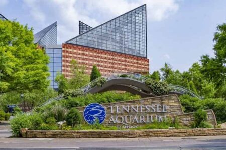 Tennessee Aquarium Chattanoogan