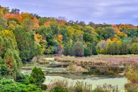 Minnesota Landscape Arboretum