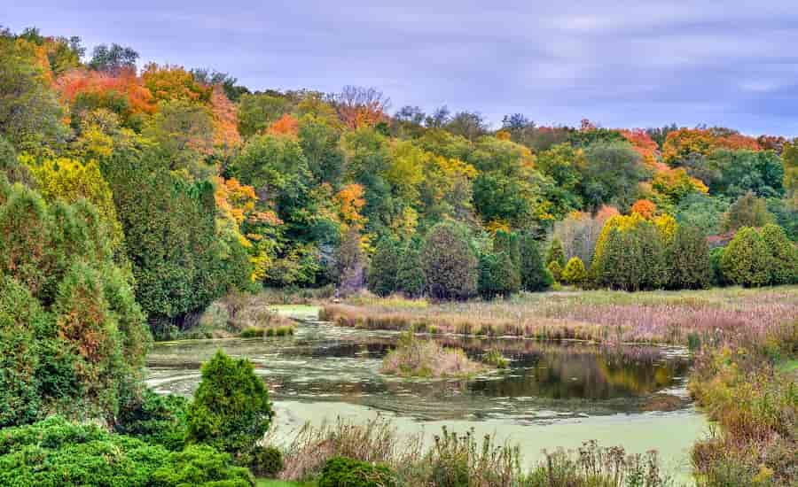 Minnesota Landscape Arboretum