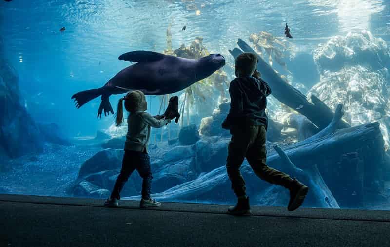 Omaha’s Henry Doorly Zoo and Aquarium, Omaha, Nebraska