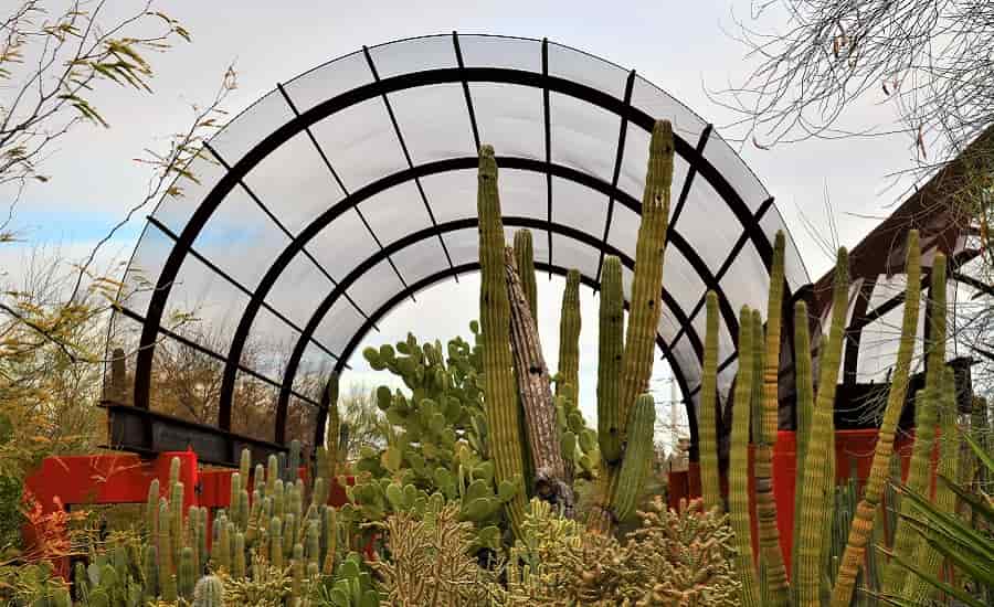 Desert Botanical Garden