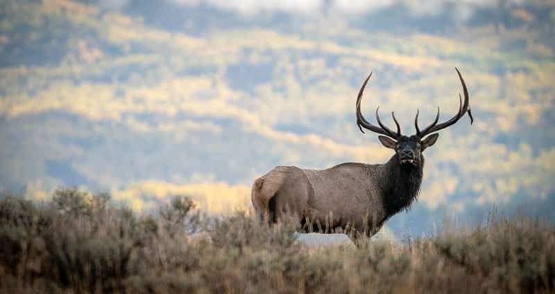 Grand Teton National Park, Wyoming