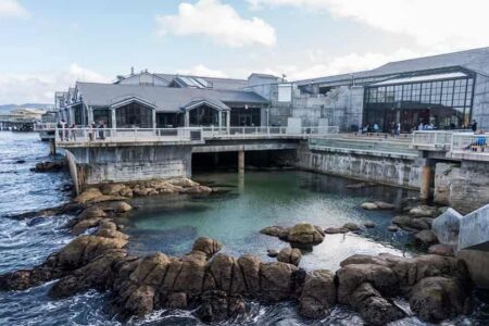 Monterey Bay Aquarium