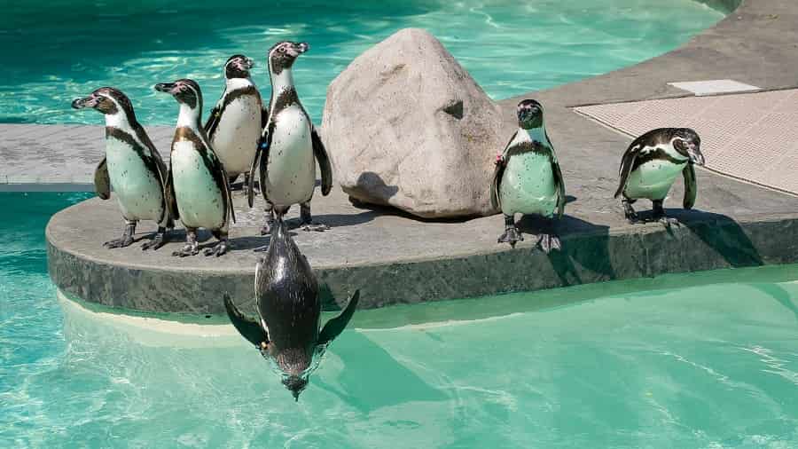 Lincoln Children’s Zoo, Lincoln, Nebraska